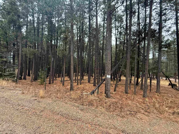 40 Valle Grande Trl N, Angel Fire, NM 87710
