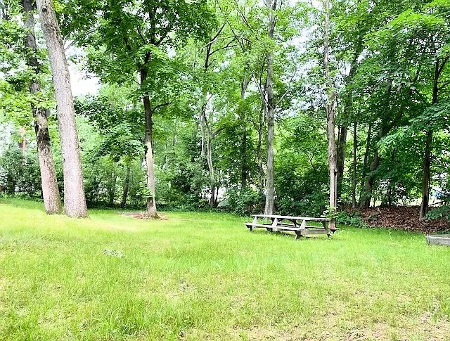 7 Harding Rd — Photo 12