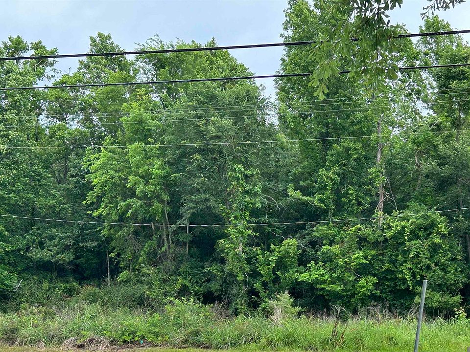 2nd image of Thomas Rd