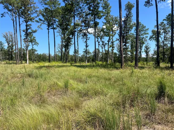 Ray Marsh Rd, Livingston, TX 77351