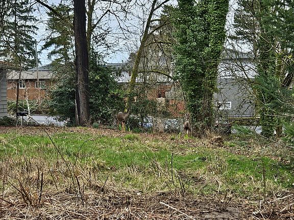 3rd image of E 3rd St #2