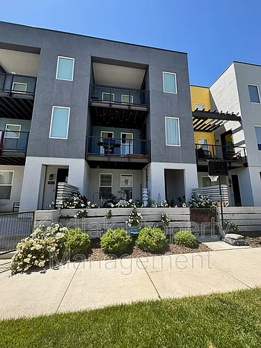 5311 W Canary Grass Way Photo 1