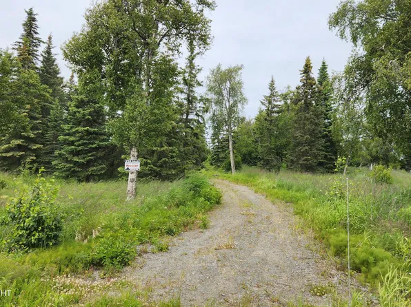 60522 Jannys Ave, Clam Gulch, AK 99568