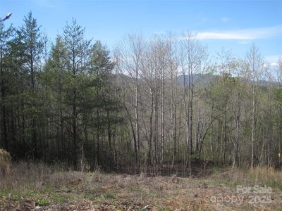 99999 Fairfield Ln, Marion, NC, 28752