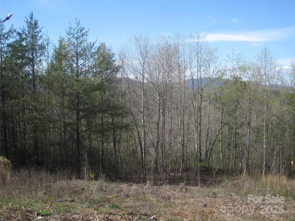 99999 Fairfield Ln, Marion, NC 28752