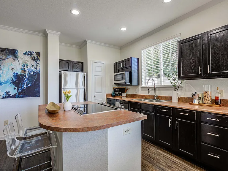 Fully Equipped Gourmet Kitchen with Black Appliances *