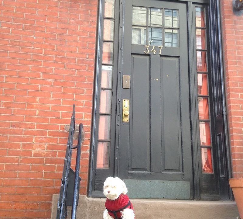 1st image of 347 W 4th St #B