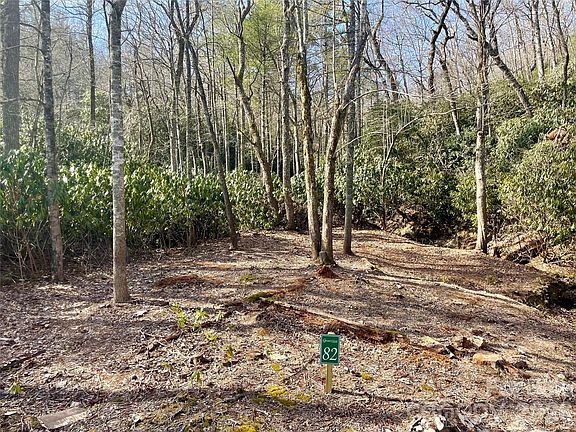 2nd image of Dogwood Trl