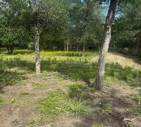 5th image of 123 Oak Forest Ct