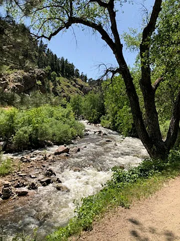 The beautiful South Boulder Creek running past the house.