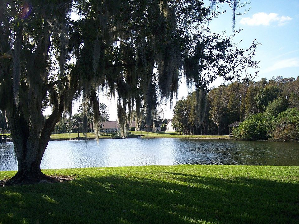 Back yard view