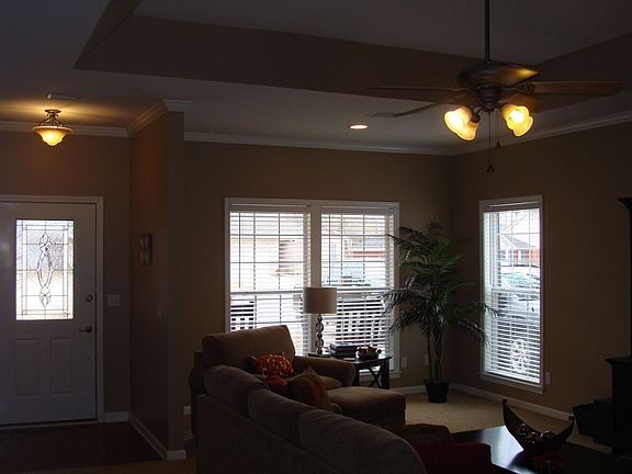 Living room with tray ceiling
