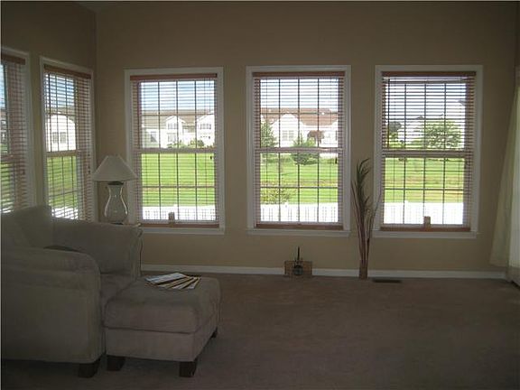 Sunroom Window View of Open Space