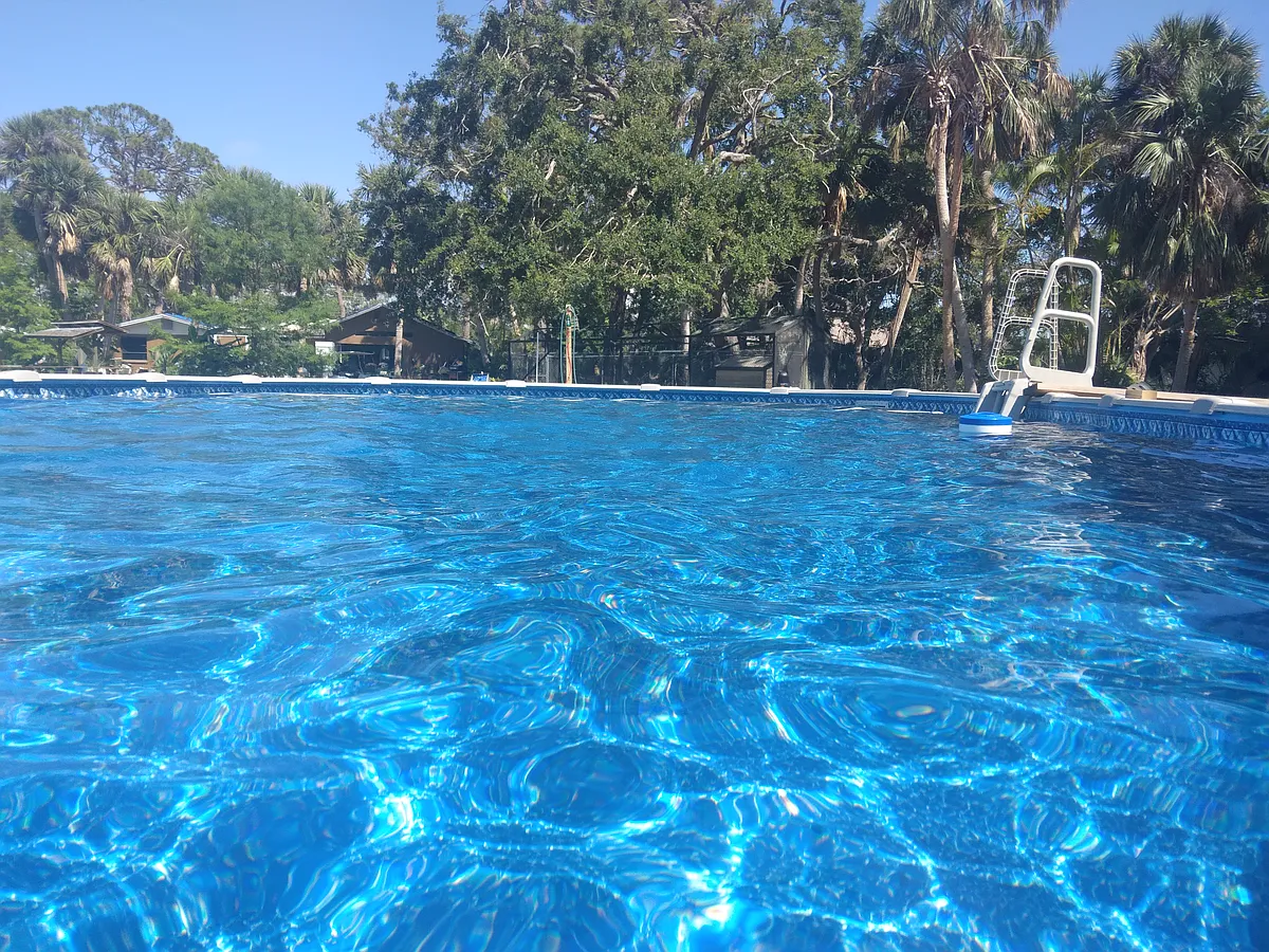 Pool - 38' x 18' - Larchmont Dr