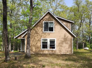 9736 S Trillium Trl, Baldwin, MI 49304