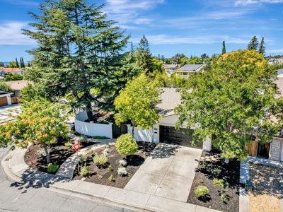 773 Heflin St, Milpitas, CA, 95035