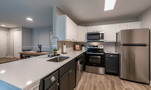 Enjoy newly renovated apartment homes with stainless steel appliances. - Avana Northlake