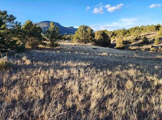 512 KIT CARSON RD, South Fork, CO 81154