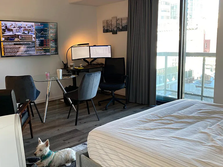 Dog not included