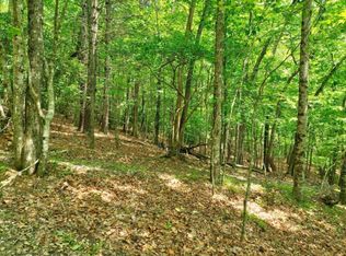 LOT 33 34 Dogpatch Ln, Blue Ridge, GA 30513