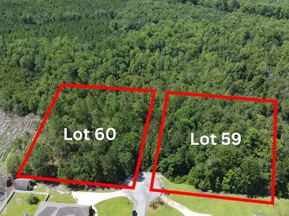 113 Vixenhill Dr, Jesup, GA 31546