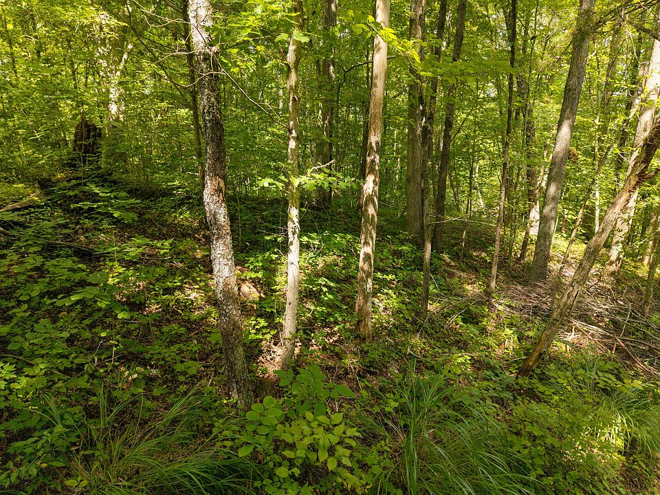 10th image of 480 Phillips Hollow Rd