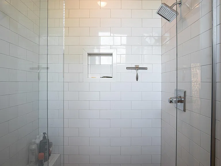 Master Bath Shower