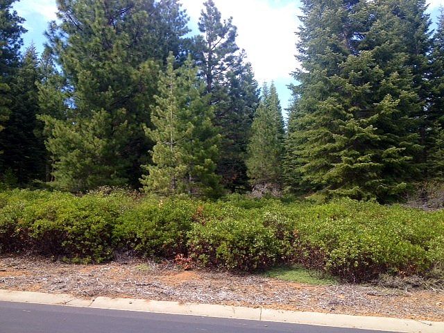 1st image of 165 Ponderosa Pine Ln