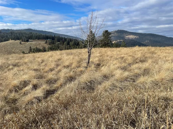 Nhn S Rim Dr, Polson, MT 59860