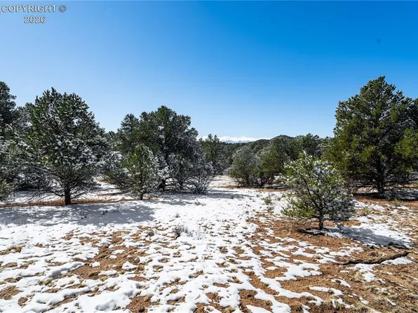 100 Kelsey Ct, Cotopaxi, CO 81223