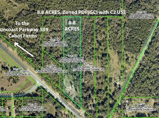 17338 Ponce De Leon Blvd, Brooksville, FL 34614