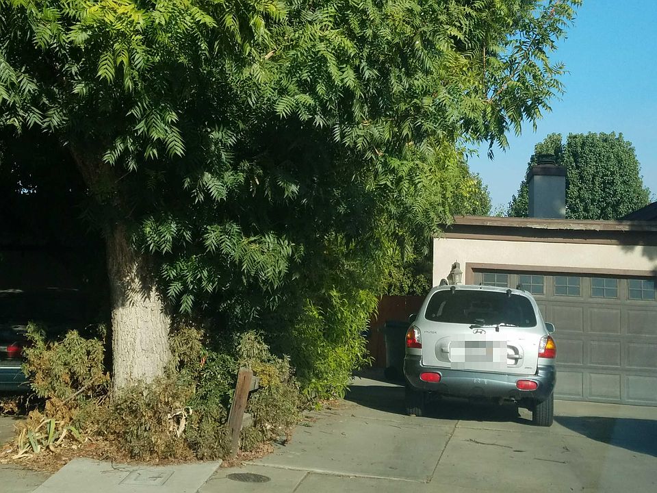 2nd image of 3537 E Center Ct