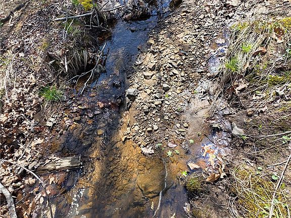 2nd image of Mountain Springs Rd #1