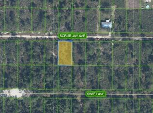 236 Scrub Jay Ave, Sebring, FL 33870