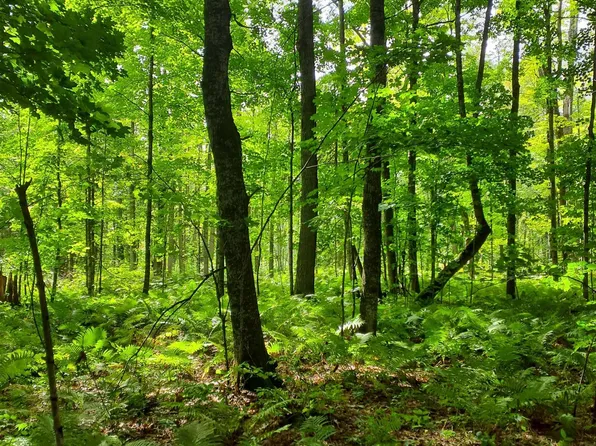 Near Bestard Rd, Ontonagon, MI 49953