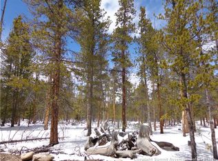663 Peak View Dr, Twin Lakes, CO 81251