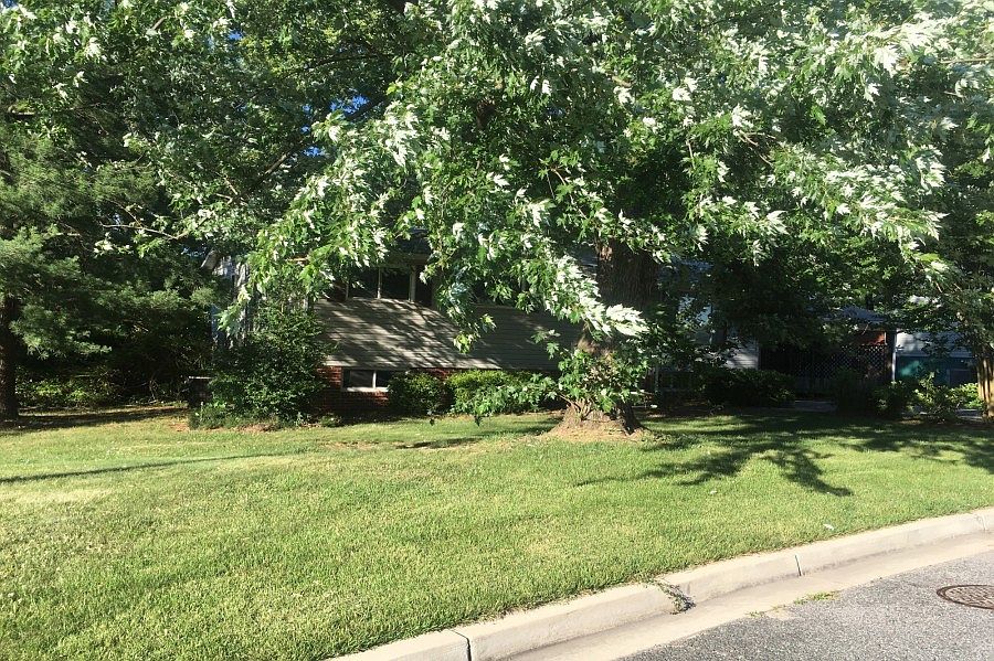 2nd image of 8616 Reicher St
