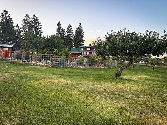 Orchard