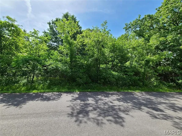 10312 Turkey Trail Dr, Hillsboro, MO 63050