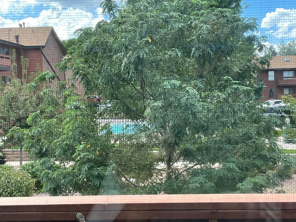 View from living room, bedroom and deck