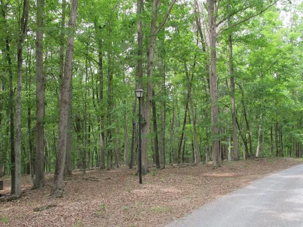 0 Otterville Rd, Goode, VA 24556