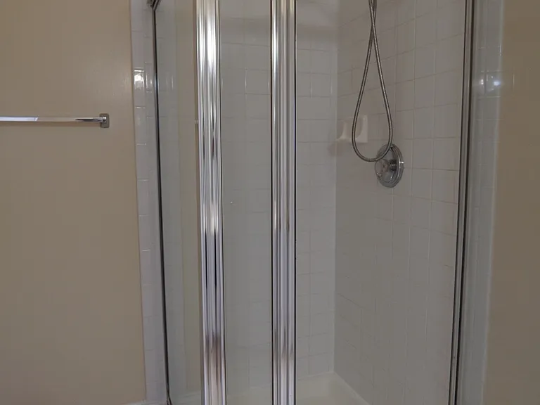 Primary Shower