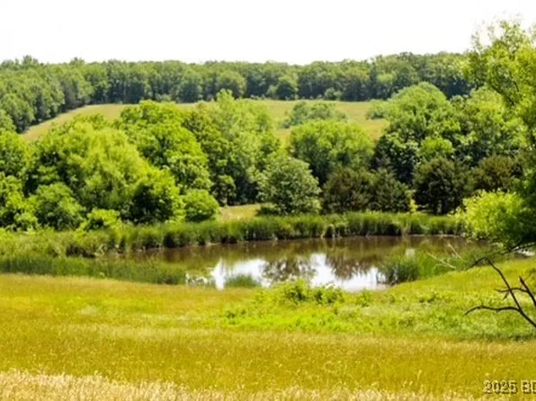 County Side Rd, Iberia, MO 65486