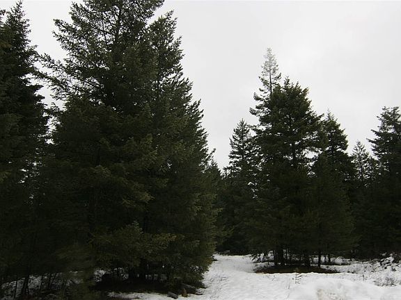 2nd image of 641 Overlook Dr Lot 9