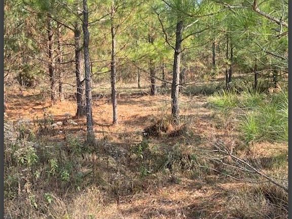 2nd image of 41 Hidden Pines Loop
