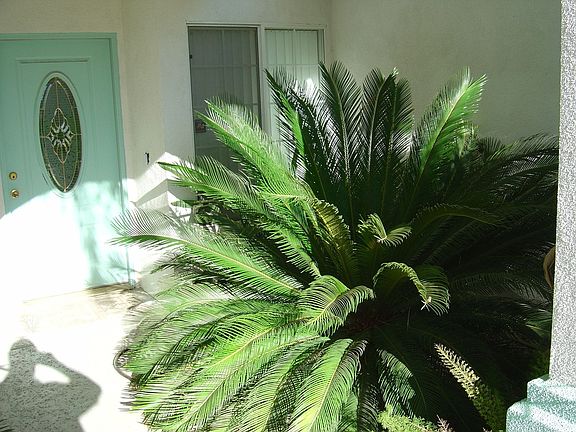 5th image of 31640 Avenida Valdez