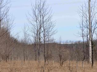 3200 Beckon Rd, Pellston, MI 49769