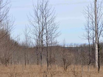 3200 Beckon Rd, Pellston, MI, 49769