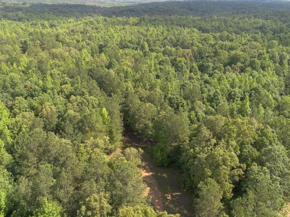 0 New Bethel Rd, Cedar Grove, TN 38321