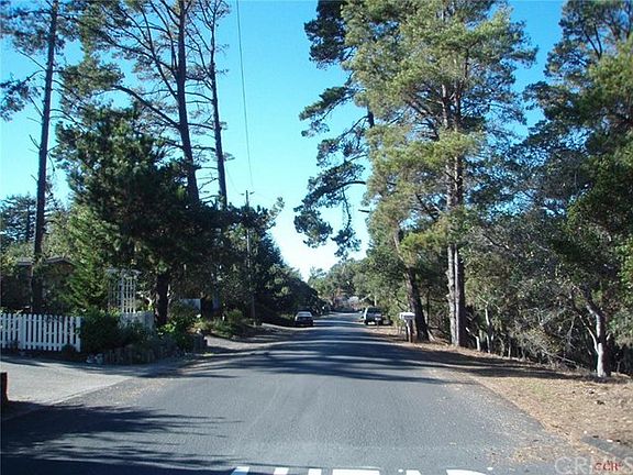 5th image of Wilton Dr